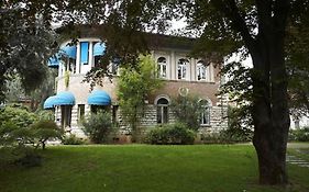 Villa V